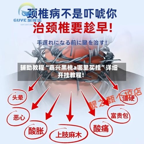 辅助教程“嘉兴黑桃a哪里买挂”详细开挂教程!-第3张图片