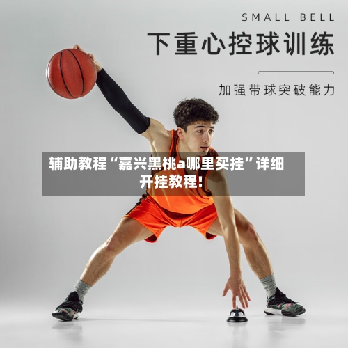 辅助教程“嘉兴黑桃a哪里买挂”详细开挂教程!-第2张图片