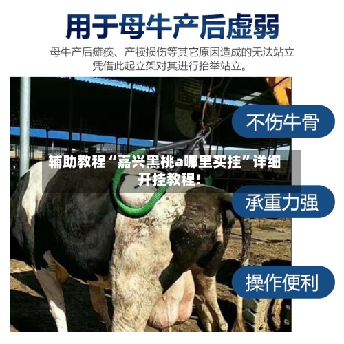 辅助教程“嘉兴黑桃a哪里买挂	”详细开挂教程!-第1张图片