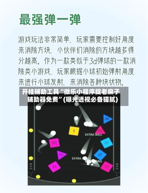 开挂辅助工具“微乐小程序捉老麻子辅助器免费	”(曝光透视必备猫腻)-第3张图片