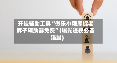 开挂辅助工具“微乐小程序捉老麻子辅助器免费”(曝光透视必备猫腻)-第2张图片