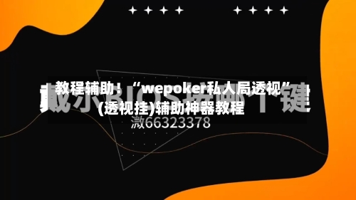 教程辅助！“wepoker私人局透视”(透视挂)辅助神器教程-第2张图片