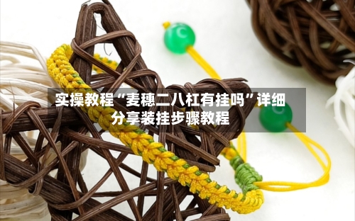 实操教程“麦穗二八杠有挂吗”详细分享装挂步骤教程-第2张图片