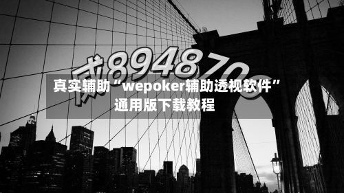 真实辅助“wepoker辅助透视软件”通用版下载教程-第1张图片