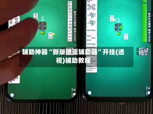 辅助神器“新版掼蛋辅助器	”开挂(透视)辅助教程-第2张图片