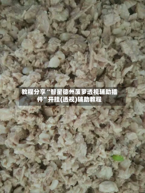 教程分享“智星德州菠萝透视辅助插件”开挂(透视)辅助教程-第1张图片