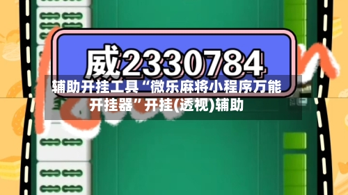 辅助开挂工具“微乐麻将小程序万能开挂器”开挂(透视)辅助-第2张图片