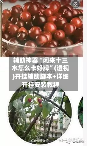 辅助神器“闲来十三水怎么卡好牌”(透视)开挂辅助脚本+详细开挂安装教程-第2张图片