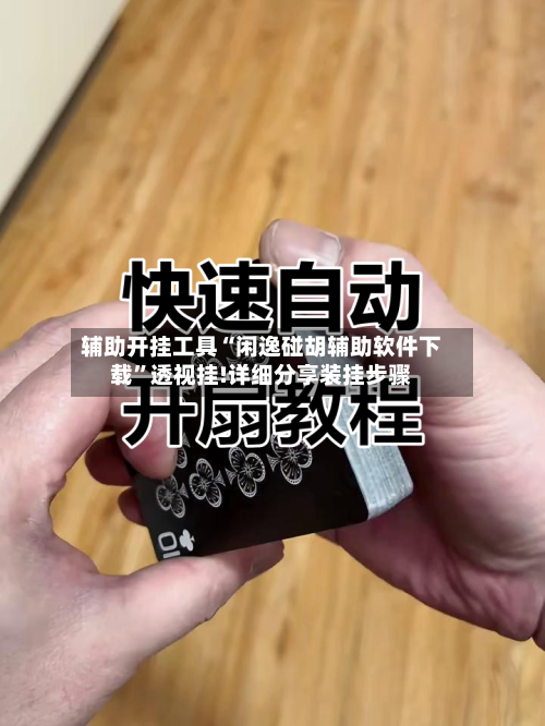 辅助开挂工具“闲逸碰胡辅助软件下载”透视挂!详细分享装挂步骤-第1张图片