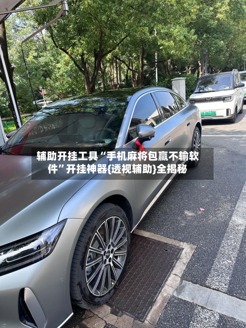 辅助开挂工具“手机麻将包赢不输软件”开挂神器{透视辅助}全揭秘-第2张图片