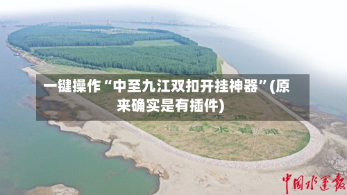 一键操作“中至九江双扣开挂神器”(原来确实是有插件)-第2张图片