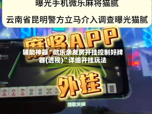 辅助神器“微乐亲友房开挂控制好牌器(透视)”详细开挂玩法-第2张图片